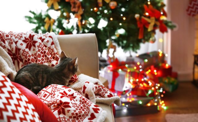 christmas