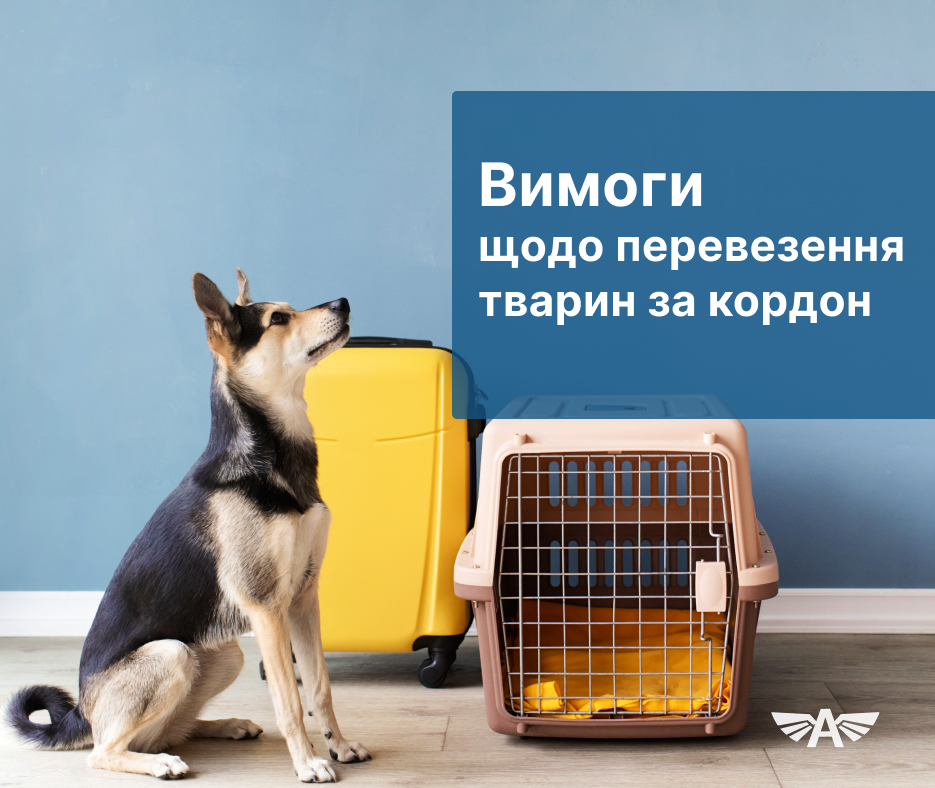 Вимоги щодо перевезення тварин за кордон